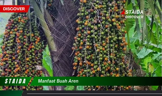 Temukan 7 Manfaat Buah Aren yang Jarang Diketahui!