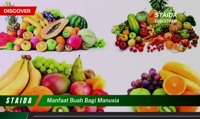 Ketahui 9 Manfaat Buah bagi Manusia, Untuk Kesehatan Tubuh yang Optimal