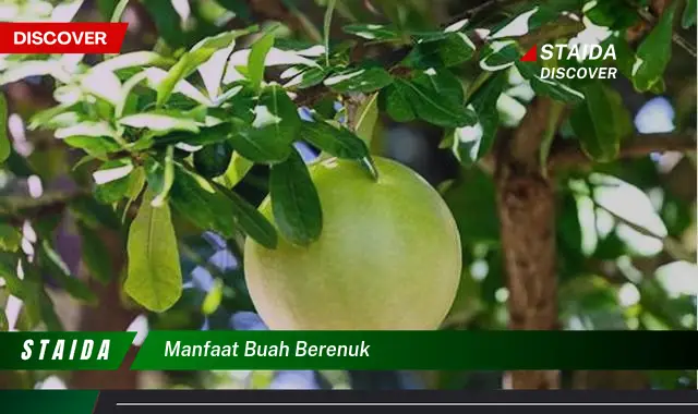 Terungkap Khasiat Buah Berenuk: 7 Manfaat Langka Wajib Anda Tahu