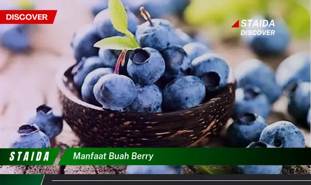 Temukan Khasiat Ajaib Buah Berry untuk Kesehatan