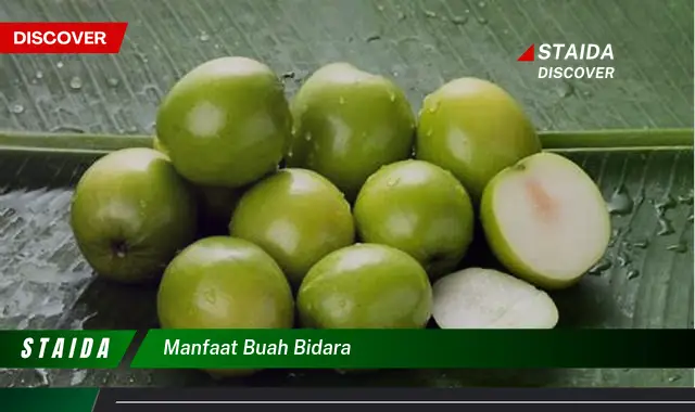 Ungkap 7 Manfaat Buah Bidara yang Jarang Diketahui!