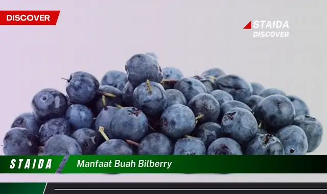 Ketahui 8 Manfaat Buah Bilberry untuk Kesehatan Tubuh Anda