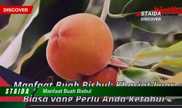 Temukan 9 Manfaat Buah Bisbul untuk Kesehatan Anda