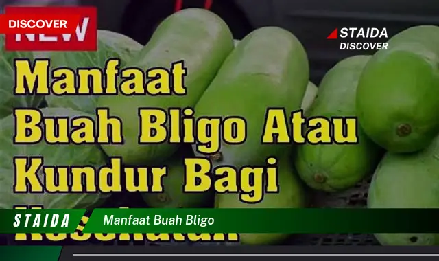 Temukan Khasiat Buah Bligo yang Jarang Diketahui