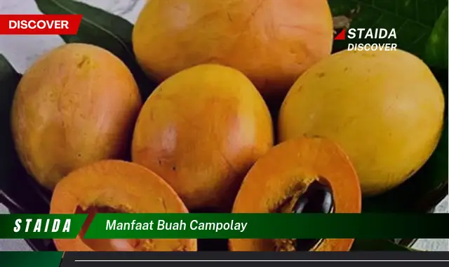 7 Manfaat Buah Campolay Untuk Kesehatan Anda