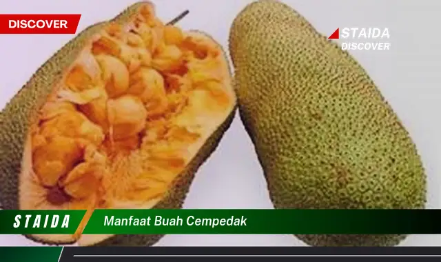 Temukan 7 Manfaat Buah Cempedak yang Jarang Diketahui