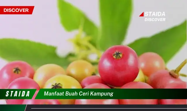 Temukan Khasiat Buah Ceri Kampung yang Jarang Diketahui