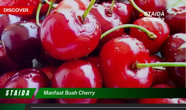 7 Manfaat Buah Cherry yang Jarang Diketahui dan Wajib Anda Tahu