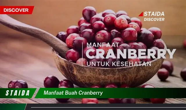 Temukan 7 Khasiat Buah Cranberry yang Jarang Diketahui