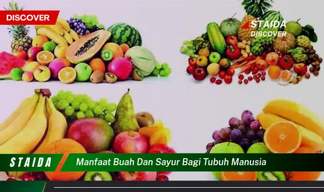 Ketahui 10 Manfaat Buah dan Sayur bagi Tubuh Manusia, Panduan Lengkap untuk Kesehatan Optimal