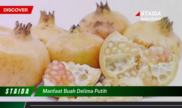 Ungkap 7 Manfaat Buah Delima Putih Yang Jarang Diketahui