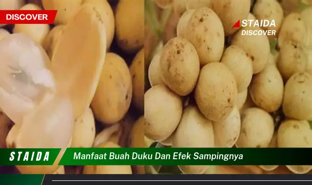 Ketahui 7 Manfaat Buah Duku & Efek Sampingnya Bagi Kesehatan