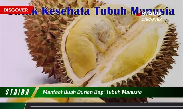 Ketahui 9 Manfaat Buah Durian Bagi Tubuh Manusia, Dari Kesehatan Jantung Hingga Energi