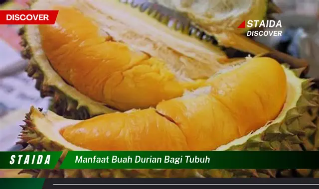 Ketahui 10 Manfaat Buah Durian bagi Tubuh, Dari Kesehatan Jantung Hingga Peningkatan Energi