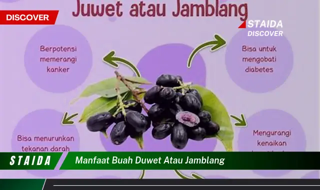 Temukan 7 Manfaat Buah Duwet yang Jarang Diketahui