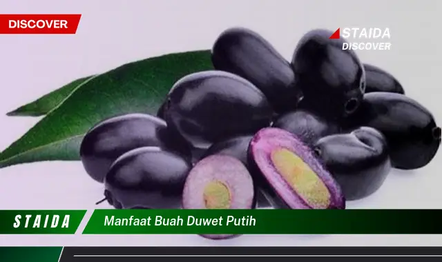 Ketahui 10 Manfaat Buah Duwet Putih untuk Kesehatan dan Kecantikan