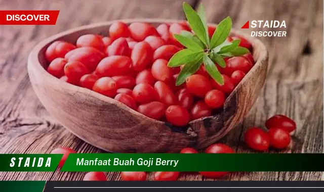 Ketahui 10 Manfaat Buah Goji Berry untuk Kesehatan Tubuh Anda