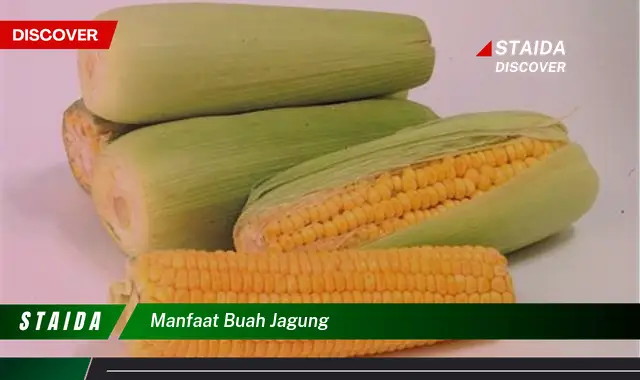 Ketahui 7 Manfaat Buah Jagung untuk Kesehatan