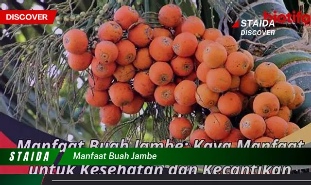 Temukan 9 Khasiat Ajaib Buah Jambe untuk Kesehatan