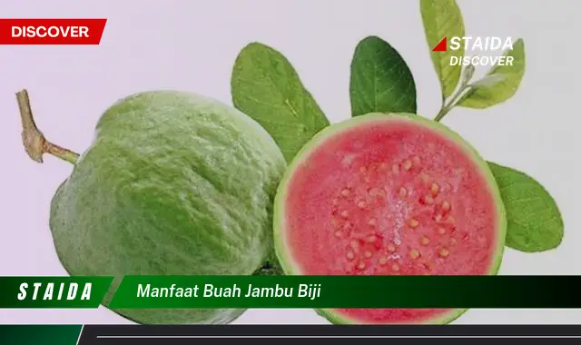 Temukan 7 Manfaat Buah Jambu Biji yang Jarang Diketahui