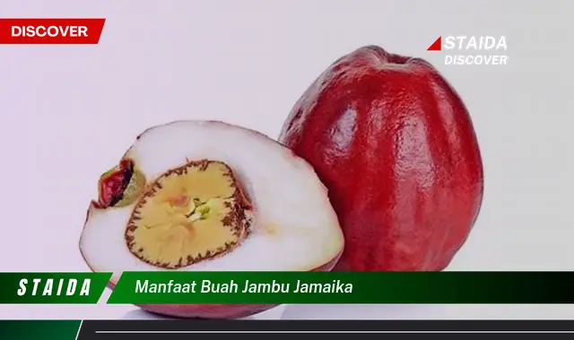 Ketahui 10 Manfaat Buah Jambu Jamaika untuk Kesehatan dan Kecantikan