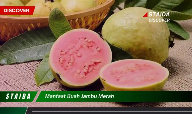 Temukan Manfaat Buah Jambu Merah yang Jarang Diketahui