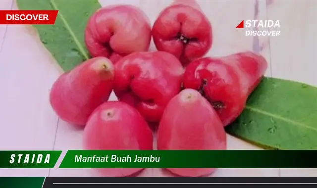 Ungkap Manfaat Buah Jambu yang Jarang Diketahui