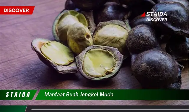 Ketahui 9 Manfaat Buah Jengkol Muda untuk Kesehatan Tubuh Anda