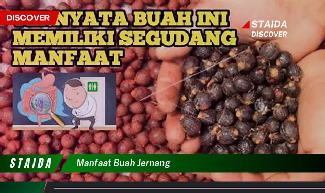 Jelajahi Manfaat Buah Jernang: Penemuan dan Wawasan Langka yang Perlu Anda Ketahui