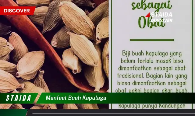 Ketahui 10 Manfaat Buah Kapulaga untuk Kesehatan Tubuh Anda