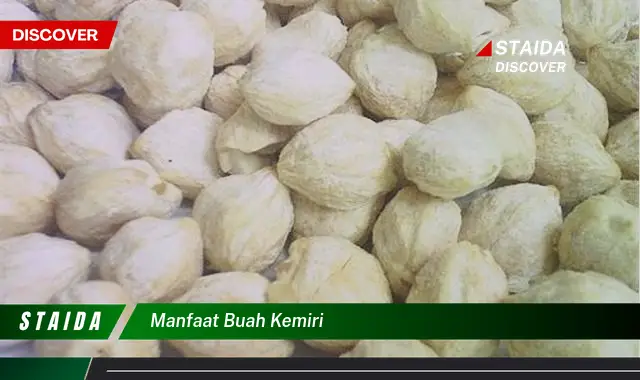 Temukan Tujuh Manfaat Buah Kemiri yang Jarang Diketahui