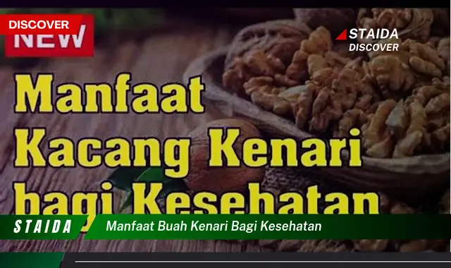 Temukan 7 Manfaat Buah Kenari Bagi Kesehatan yang Jarang Diketahui