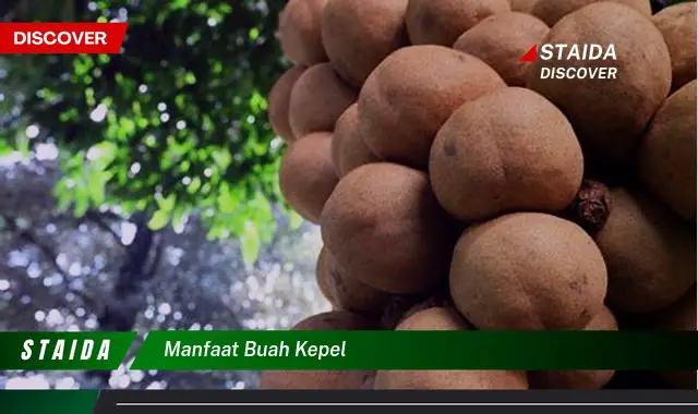 Ketahui 7 Manfaat Buah Kepel untuk Kesehatan