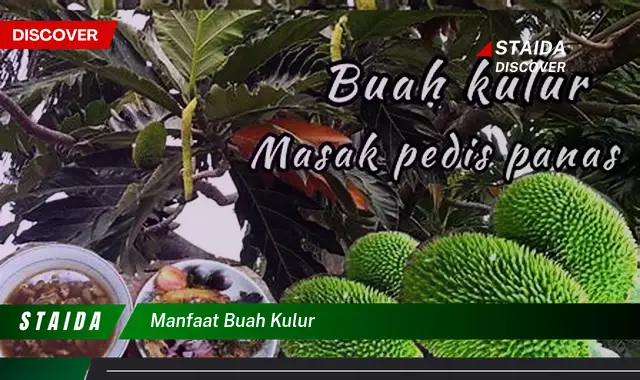 Ketahui 10 Manfaat Buah Kulur untuk Kesehatan, Dari Akar Hingga Daun