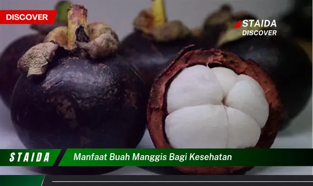 Manfaat Buah Manggis bagi Kesehatan: 7 Rahasia yang Perlu Anda Tahu!