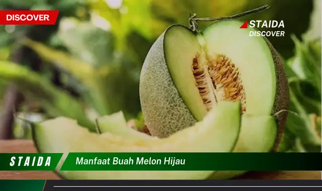 Manfaat Buah Melon Hijau yang Jarang Diketahui, Wajib Banget Kamu Tau!