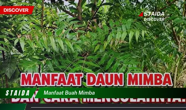 Ketahui 8 Manfaat Buah Mimba untuk Kesehatan Tubuh Anda