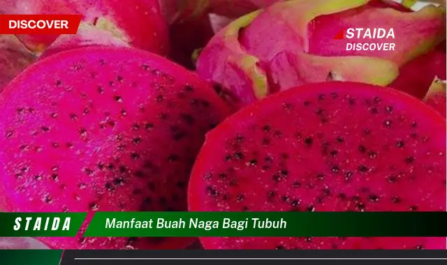 Buka Tabir Manfaat Buah Naga yang Jarang Diketahui, Wajib Dicoba!