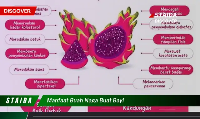 Temukan Manfaat Buah Naga untuk Bayi yang Jarang Diketahui