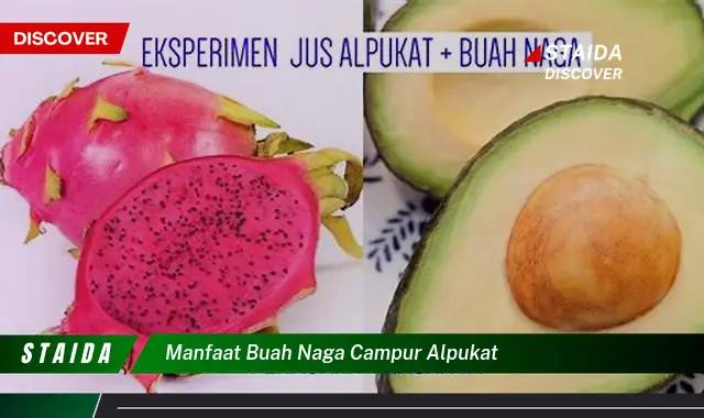 Temukan Manfaat Buah Naga Campur Alpukat yang Jarang Diketahui