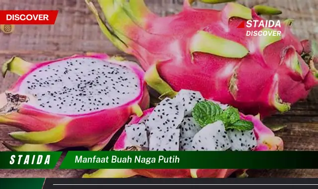 Temukan Manfaat Buah Naga Putih yang Jarang Diketahui