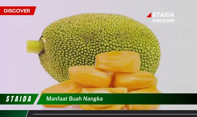 Temukan Manfaat Buah Nangka yang Jarang Diketahui