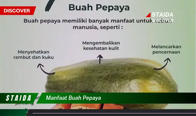 Temukan Manfaat Buah Pepaya yang Jarang Diketahui