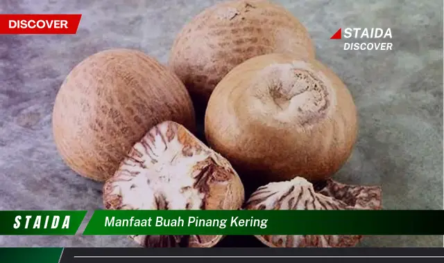 Temukan Manfaat Buah Pinang Kering yang Jarang Diketahui