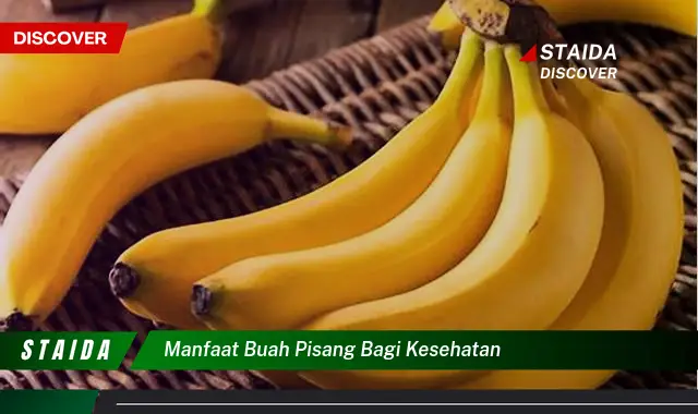 7 Manfaat Buah Pisang Bagi Kesehatan Yang Jarang Diketahui