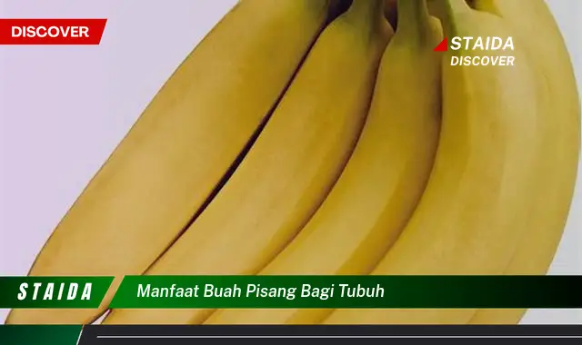 Temukan Manfaat Pisang Bagi Tubuh yang Belum Diketahui