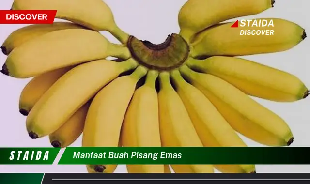 Temukan 7 Manfaat Buah Pisang Emas yang Jarang Diketahui