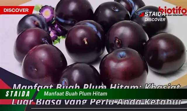 Ketahui 7 Manfaat Ajaib Buah Plum Hitam