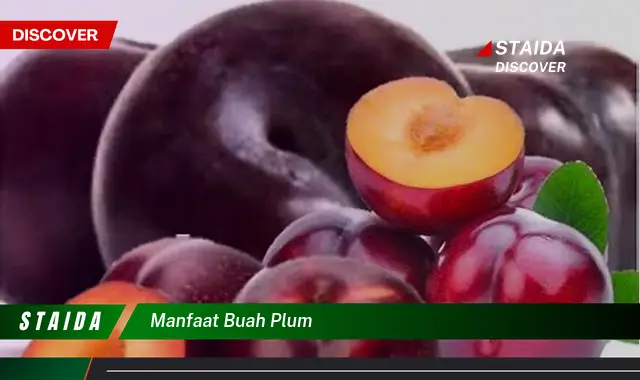 Temukan Manfaat Buah Plum yang Jarang Diketahui