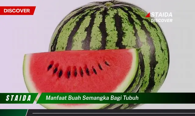 Ketahui 8 Manfaat Buah Semangka bagi Tubuh, Dari Kesehatan Jantung Hingga Hidrasi Optimal